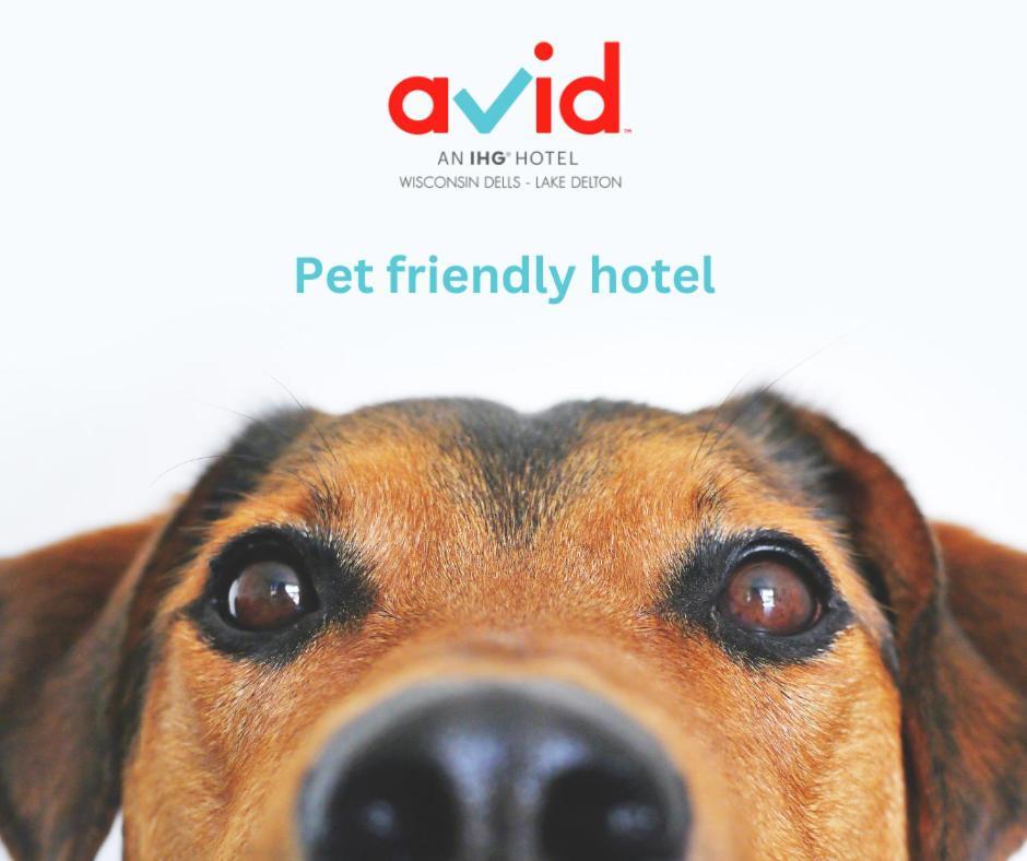 Avid Hotel Wisconsin Dells Lake Delton By Ihg Екстериор снимка